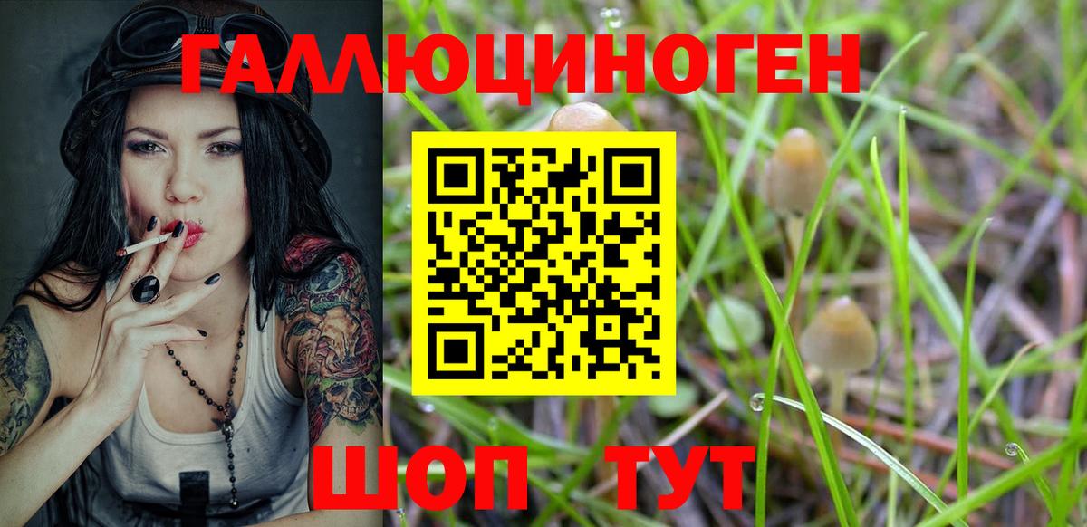 Псилоцибиновые грибы мицелий  Вход с VPN  Краснодар 
